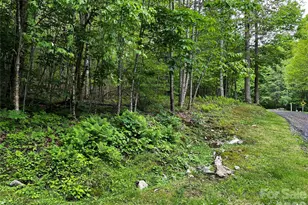 1 Pearl Way, Mars Hill, NC 28754 - Photo 3