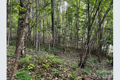 1 Pearl Way, Mars Hill, NC 28754 - Photo 5