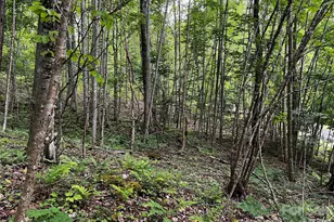 1 Pearl Way, Mars Hill, NC 28754 - Photo 5