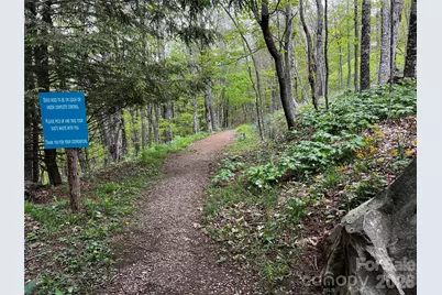 1 Pearl Way, Mars Hill, NC 28754 - Photo 15