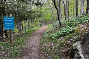 1 Pearl Way, Mars Hill, NC 28754 - Photo 15