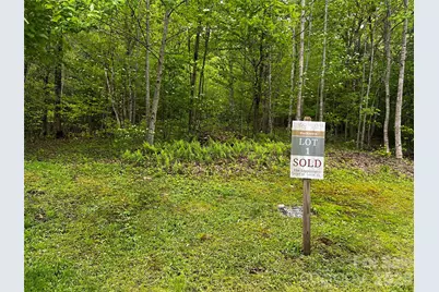 1 Pearl Way, Mars Hill, NC 28754 - Photo 1