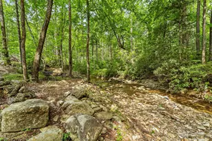 4290 Black Bear Trl, Morganton, NC 28655 - Photo 39