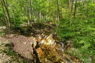 4290 Black Bear Trl, Morganton, NC 28655 - Photo 41