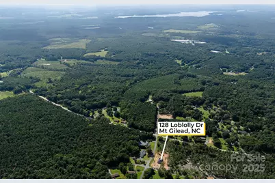 128 Loblolly Drive, Mount Gilead, NC 27306 - Photo 43