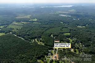 128 Loblolly Dr, Mount Gilead, NC 27306 - Photo 43