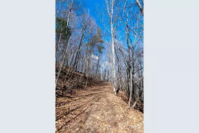 120 Powderhorn Drive, Burnsville, NC 28714 - Photo 47