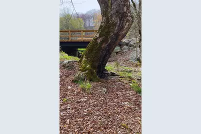 Lot 38 Poplar Forest Drive, Boone, NC 28607 - Photo 7