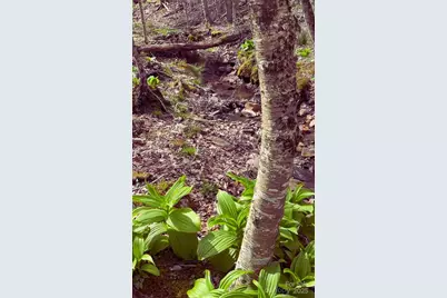 Lot 38 Poplar Forest Drive, Boone, NC 28607 - Photo 9