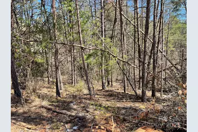 84 Union Chapel Road, Weaverville, NC 28787 - Photo 11