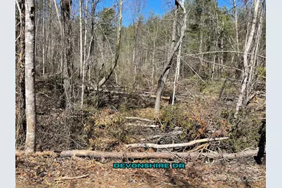 84 Union Chapel Road, Weaverville, NC 28787 - Photo 7