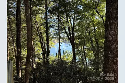 1957 Cold Mountain Road, Lake Toxaway, NC 28747 - Photo 3