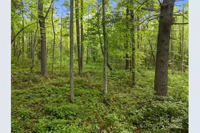 000 Red Fox Lane #18, Flat Rock, NC 28731 - Photo 21