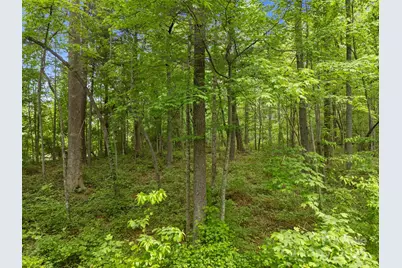 000 Red Fox Lane #18, Flat Rock, NC 28731 - Photo 23