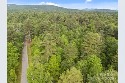 000 Red Fox Lane #18, Flat Rock, NC 28731 - Photo 9