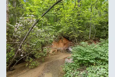 000 Red Fox Lane #18, Flat Rock, NC 28731 - Photo 13