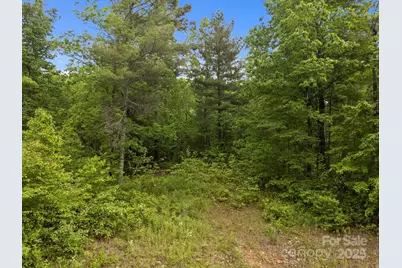 000 Red Fox Lane #18, Flat Rock, NC 28731 - Photo 15