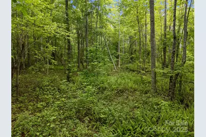 000 Red Fox Lane #18, Flat Rock, NC 28731 - Photo 19