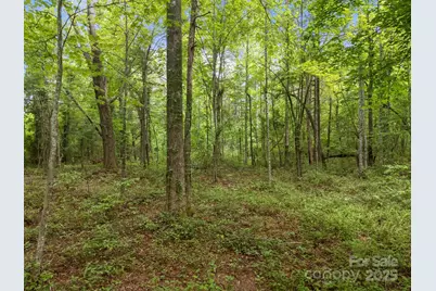 000 Red Fox Lane #19, Flat Rock, NC 28731 - Photo 23
