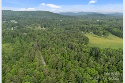 000 Red Fox Lane #19, Flat Rock, NC 28731 - Photo 5