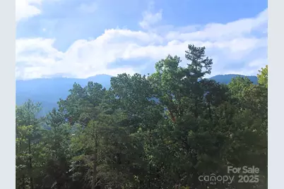 145 Black Oak Drive, Asheville, NC 28804 - Photo 11