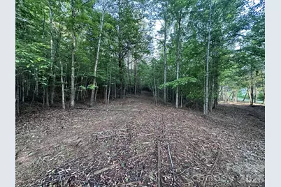 2320 Howard Arnett Road, Lenoir, NC 28645 - Photo 5