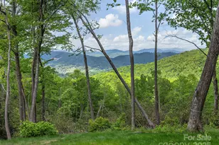 000 Hemlock Grove Trail, Hendersonville, NC 28792 - Photo 1