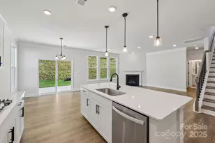 115 Asmodean Ln, Troutman, NC 28166 - Photo 13