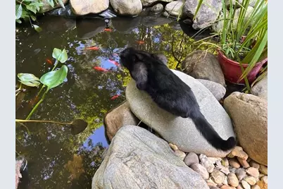 278 Mount View Drive, Burnsville, NC 28714 - Photo 45