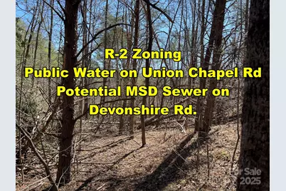 85 Union Chapel Road, Weaverville, NC 28787 - Photo 21