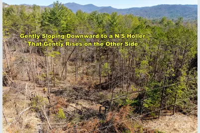 85 Union Chapel Road, Weaverville, NC 28787 - Photo 13