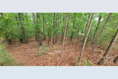 4000 Beechwood Spring Lane, Belmont, NC 28012 - Photo 3