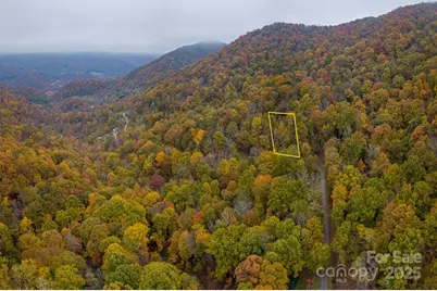 000 Sleepy Hollow Lane #14, Canton, NC 28716 - Photo 9