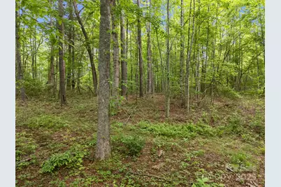 000 Red Fox Lane #17, Flat Rock, NC 28731 - Photo 19