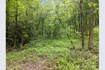 000 Red Fox Lane #17, Flat Rock, NC 28731 - Photo 11