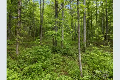 000 Red Fox Lane #17, Flat Rock, NC 28731 - Photo 17