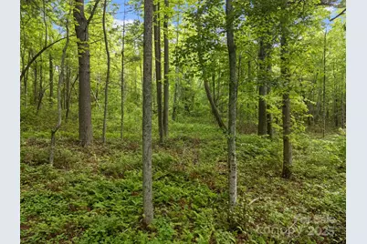 000 Red Fox Lane #17, Flat Rock, NC 28731 - Photo 21
