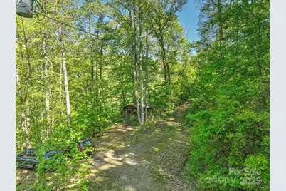 99999 Bull Creek Road, Asheville, NC 28805 - Photo 3