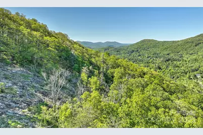 99999 Bull Creek Road, Asheville, NC 28805 - Photo 5