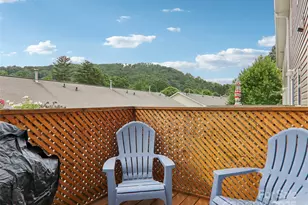 198 Alpine Ridge Dr, Asheville, NC 28806 - Photo 39