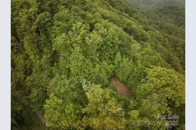 0 Pauline Drive, Bryson City, NC 28713 - Photo 3