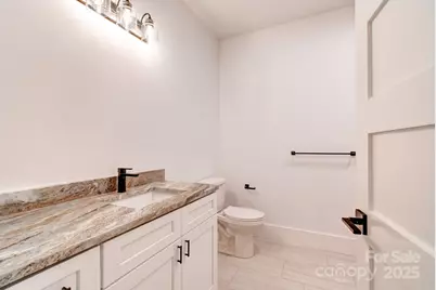 47 Skylar Lane, Mills River, NC 28759 - Photo 27