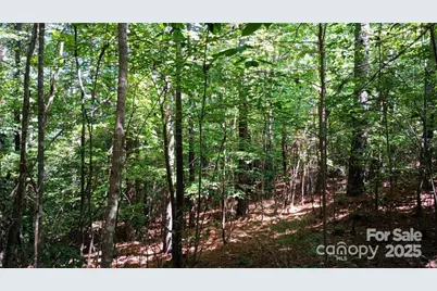 224 Riverwalk Drive, Connelly Springs, NC 28612 - Photo 9