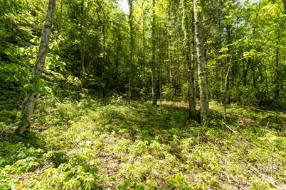 Off Of Locust Creek Road, Sylva, NC 28779 - Photo 3