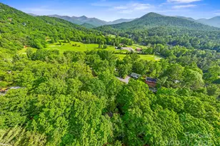 124 Hilltop Rd, Black Mountain, NC 28711 - Photo 39