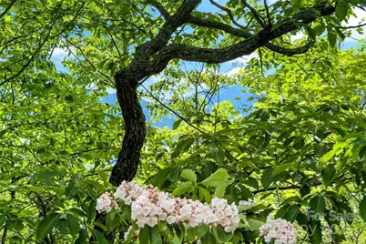 42 Parkway Drive, Marion, NC 28752 - Photo 23