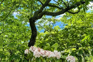 42 Parkway Dr, Marion, NC 28752 - Photo 23