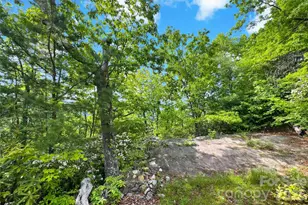 42 Parkway Dr, Marion, NC 28752 - Photo 3