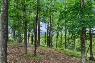 120 Split Rock Trl, Arden, NC 28704 - Photo 5