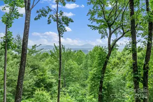 120 Split Rock Trl, Arden, NC 28704 - Photo 3